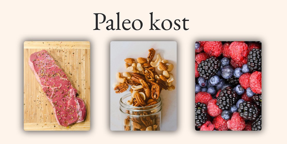 Paleo kost: Den moderne stenalder diæt til vægttab