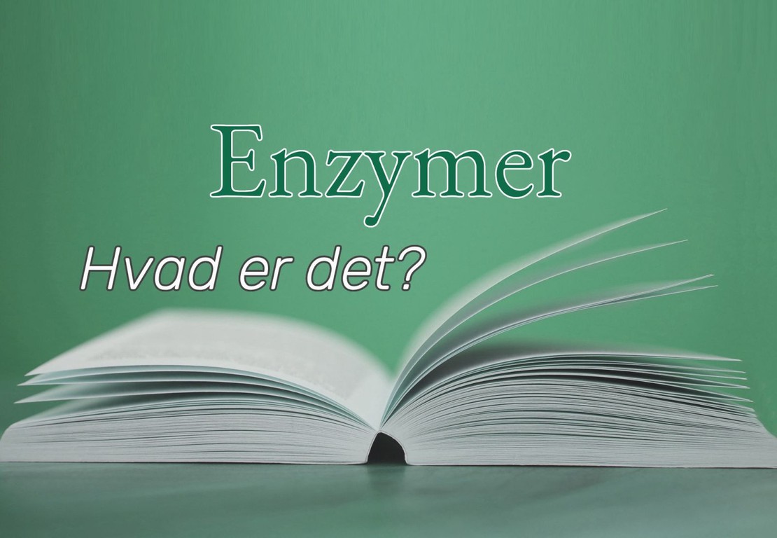 Enzymer: Proteiner, der Fremskynder Fordøjelse og Vægttab