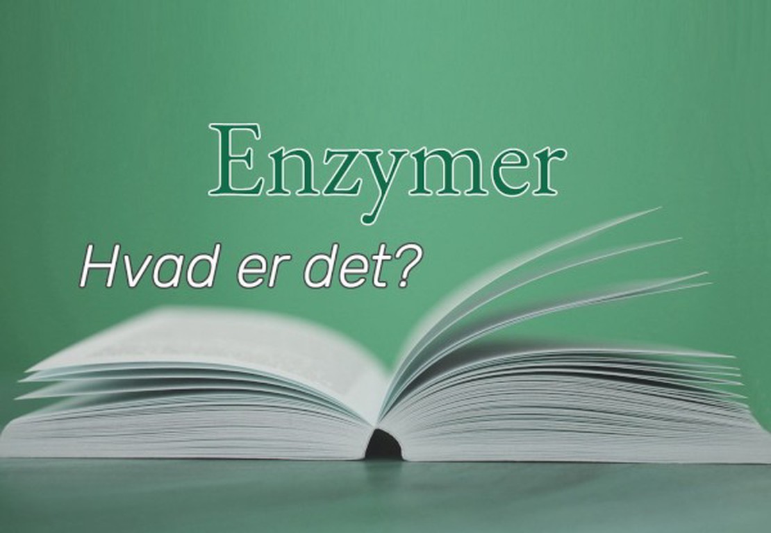 Enzymer