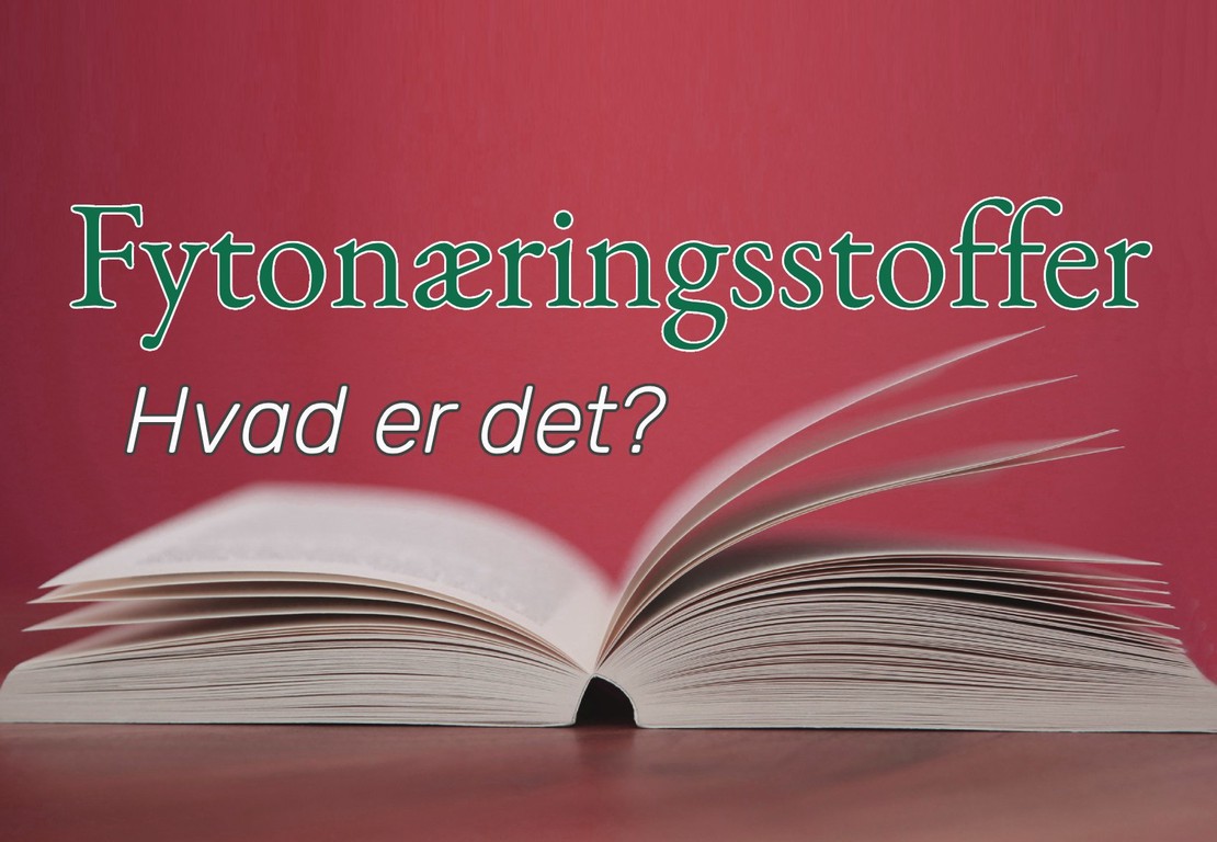 Fytonæringsstoffer: planteforbindelser, der støtter vægttab