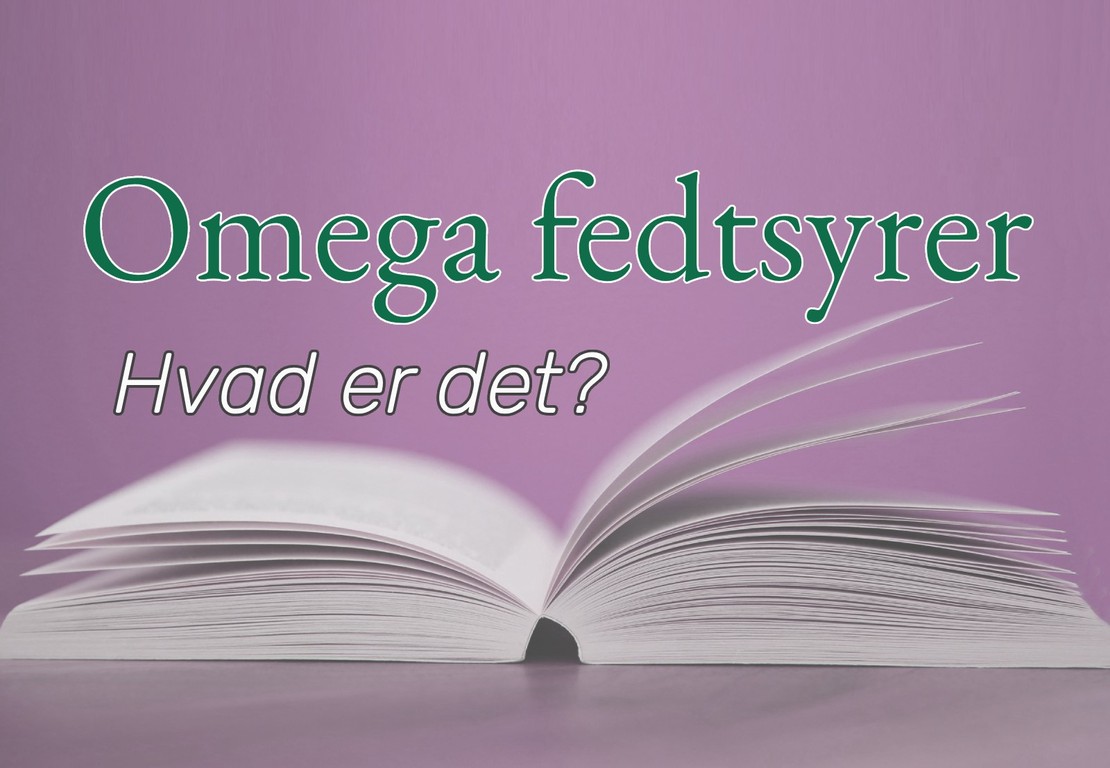 Omega fedtsyrer: essentielle fedtstoffer for vægttab