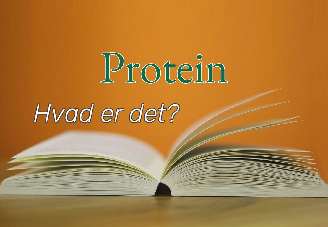 Protein: Din allierede i kampen for effektivt vægttab