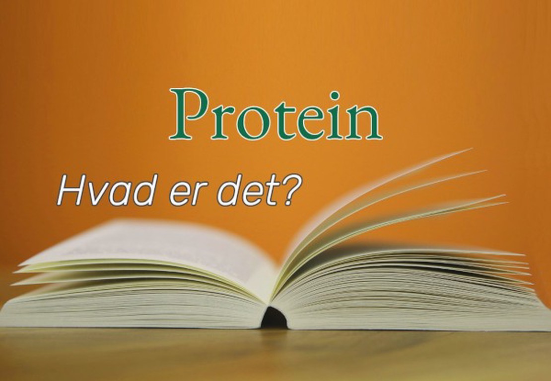 Protein